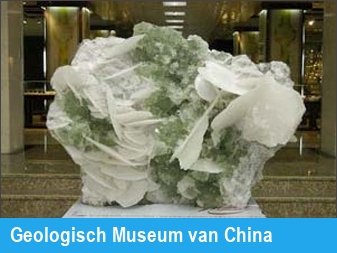 Geologisch Museum van China